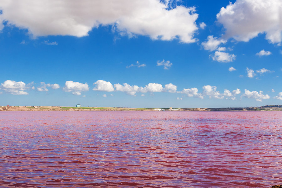 Learning Methods for Learning Azerbaijani