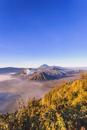 indonezyjski kurs językowy