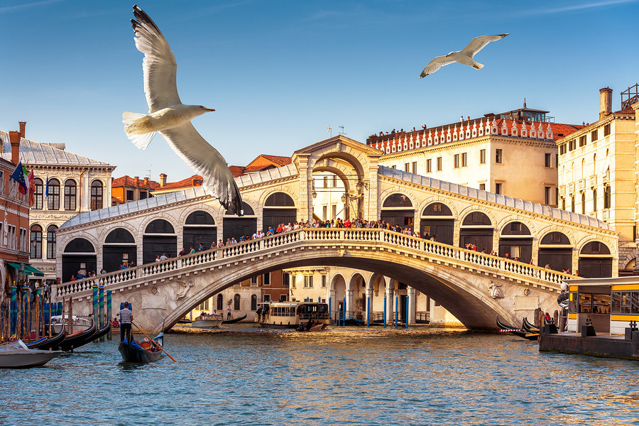 Versatile dialogues and useful phrases for Italian