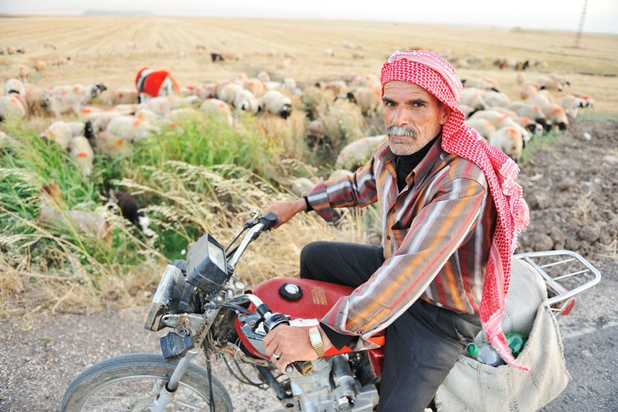 Daily Trainer for Learning Kurdish