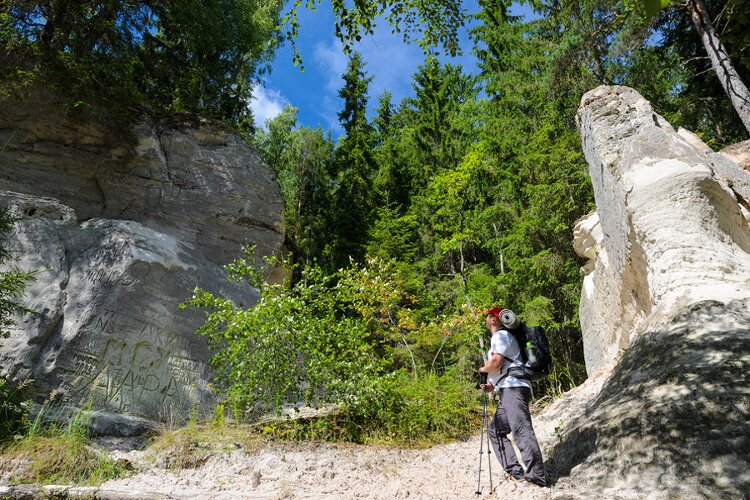 superlearning para letão