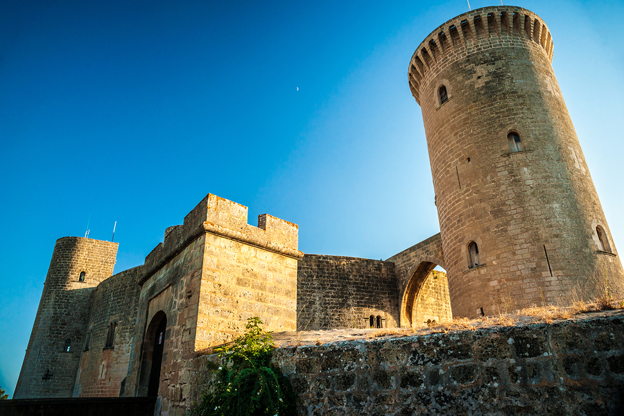 Long Term Memory Method for Learning Mallorcan