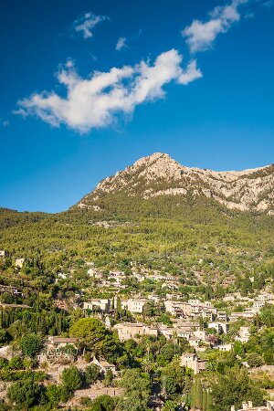cours en ligne de majorquin
