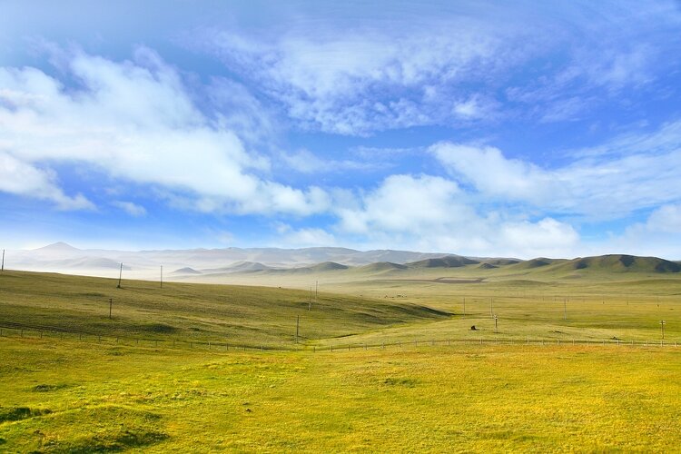 Superlearning mongolskog