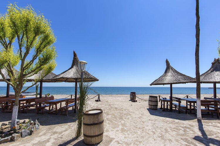 Специализиран речник по Румънски език от 17 Minute Languages