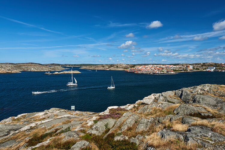 Zweeds Vakwoordenschat met meer dan 2.100 woorden