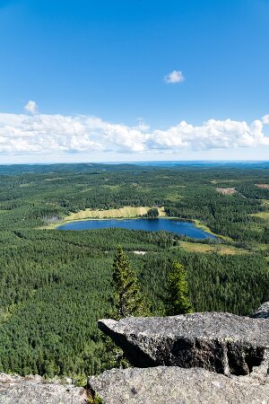 Swedish course for beginners