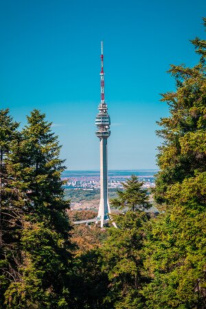 словарный тренажер сербского языка по специальной лексике