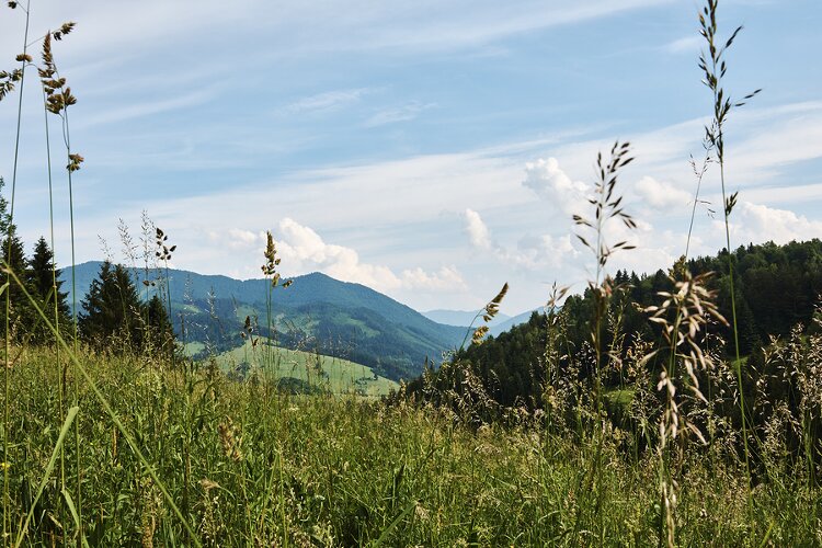 superlearning per lingua slovacca