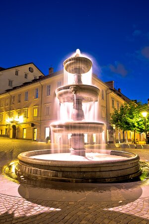 slovenski za napredne