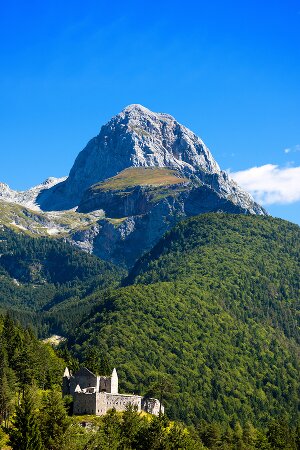 slovenski tečaj za napredne