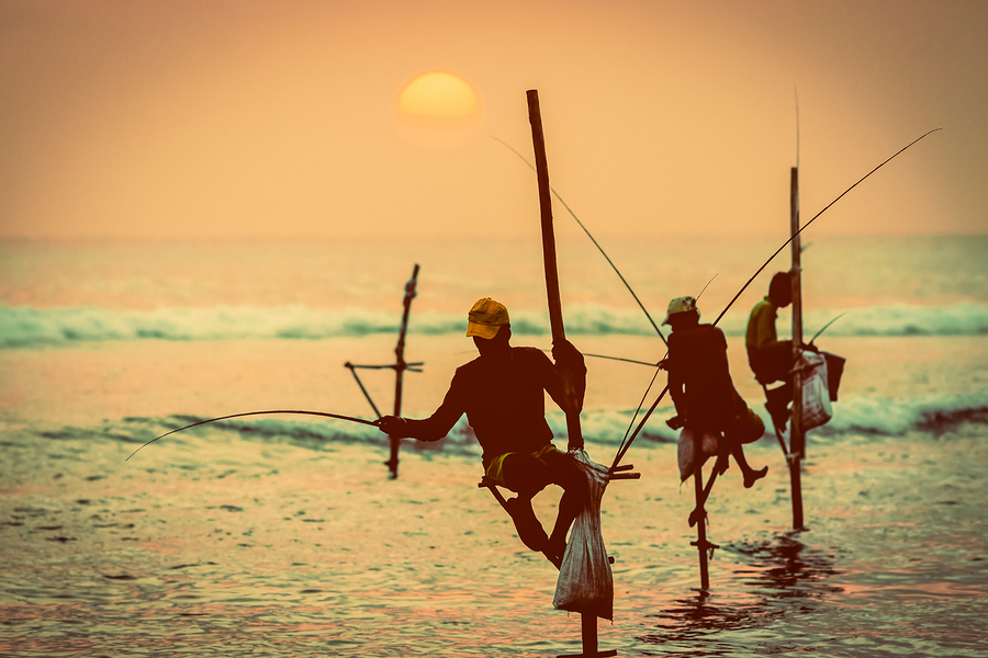 Superlearning Learning Method for Learning Tamil