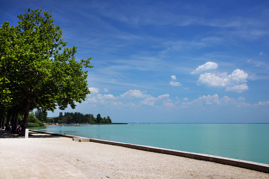 Learning Methods for Learning Hungarian