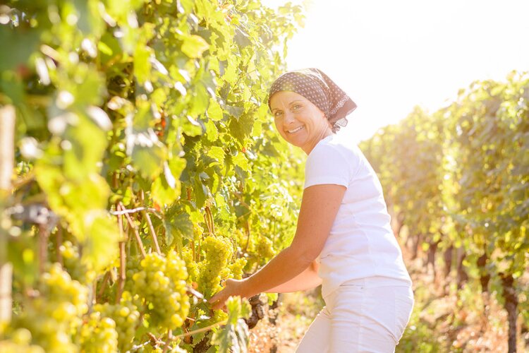 apprendre le hongrois avec méthode d'apprentissage de la mémoire à long terme