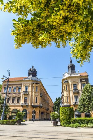 madžarščina za potovanja
