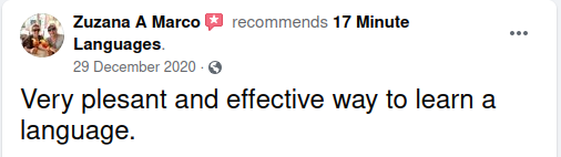 review 17 Minute Languages on Facebook no. 06