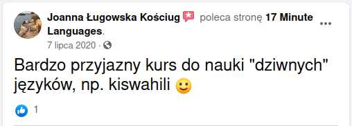 Recenzja 17 Minute Languages na Facebooku 06