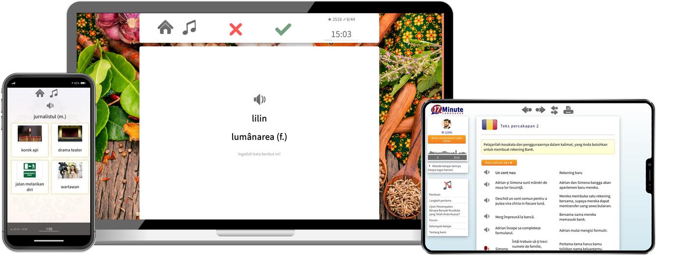 17 Minute Languages Pelajarilah Kosakata Bahasa Rumania Tingkat Lanjut 2021