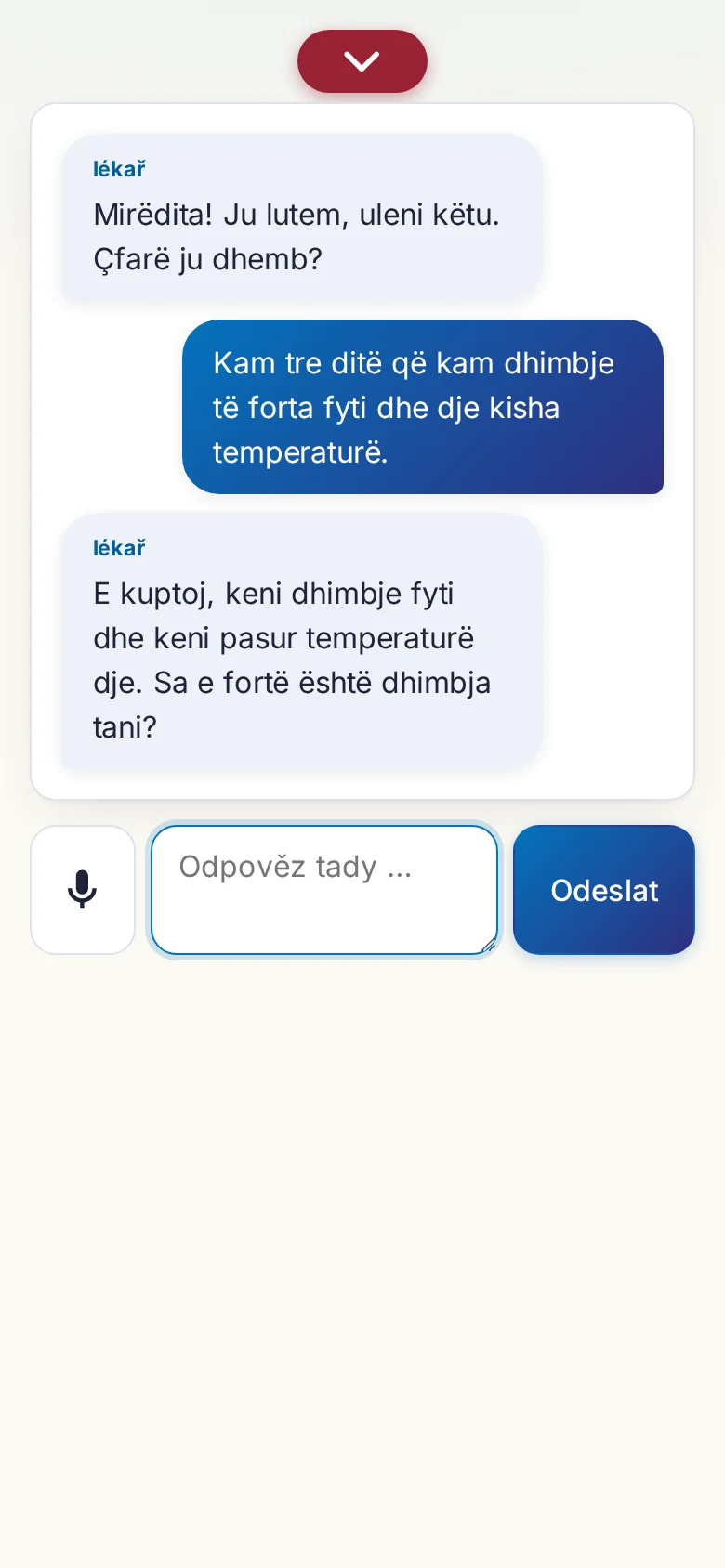 Mobil: probíhající rozhovor se zadáváním přes mikrofon.