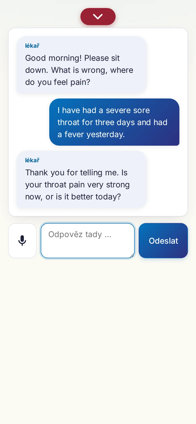 Mobil: probíhající rozhovor se zadáváním přes mikrofon.