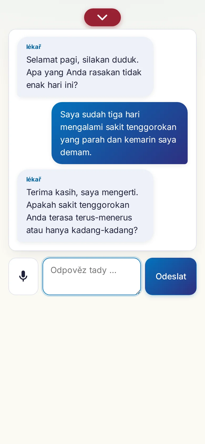 Mobil: probíhající rozhovor se zadáváním přes mikrofon.