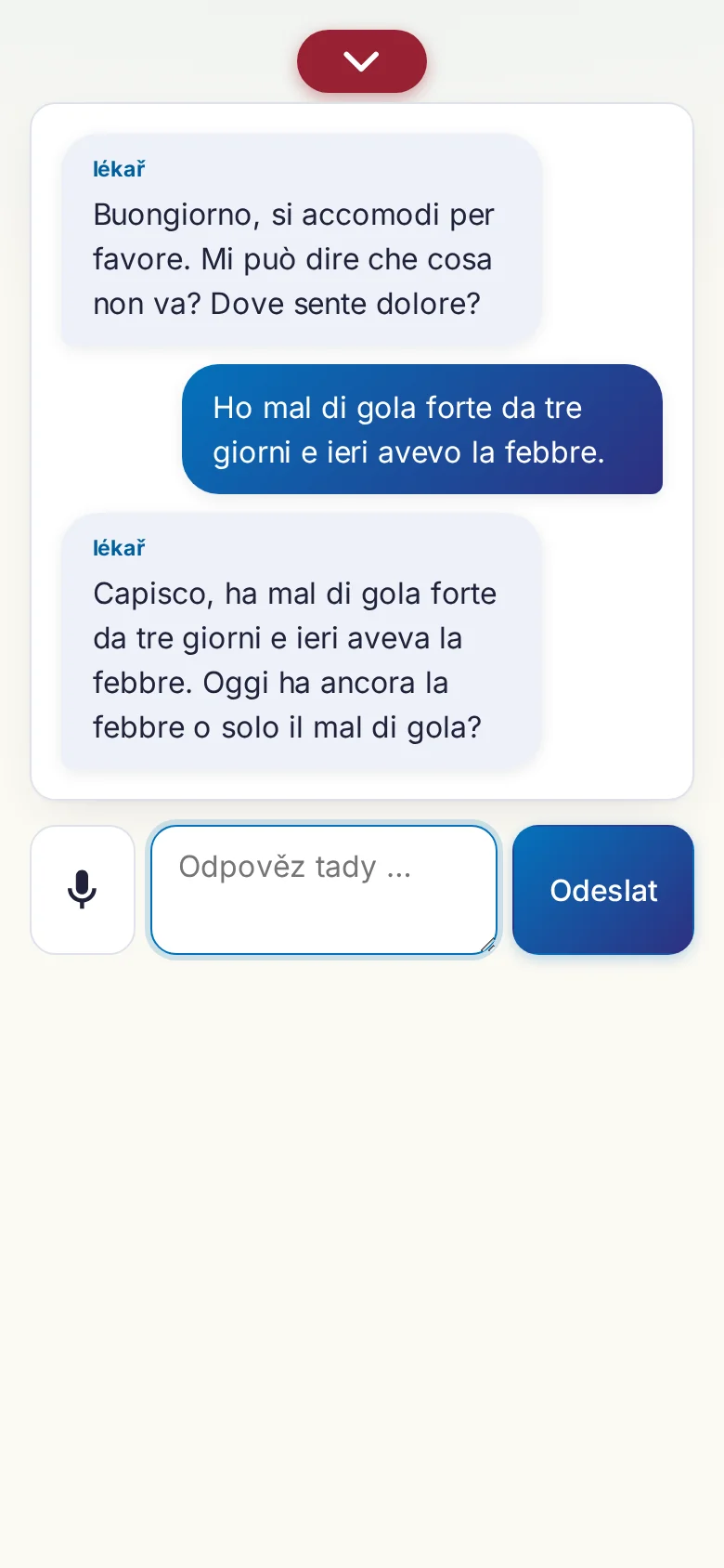 Mobil: probíhající rozhovor se zadáváním přes mikrofon.