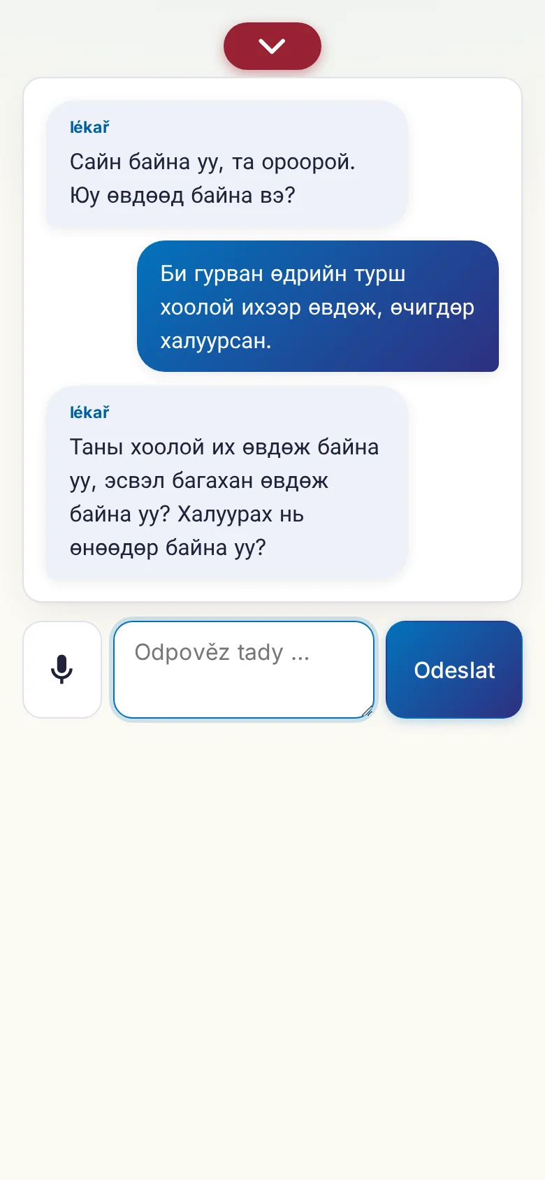 Mobil: probíhající rozhovor se zadáváním přes mikrofon.