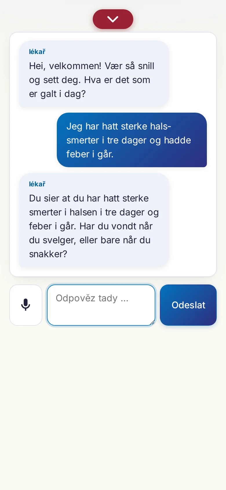 Mobil: probíhající rozhovor se zadáváním přes mikrofon.