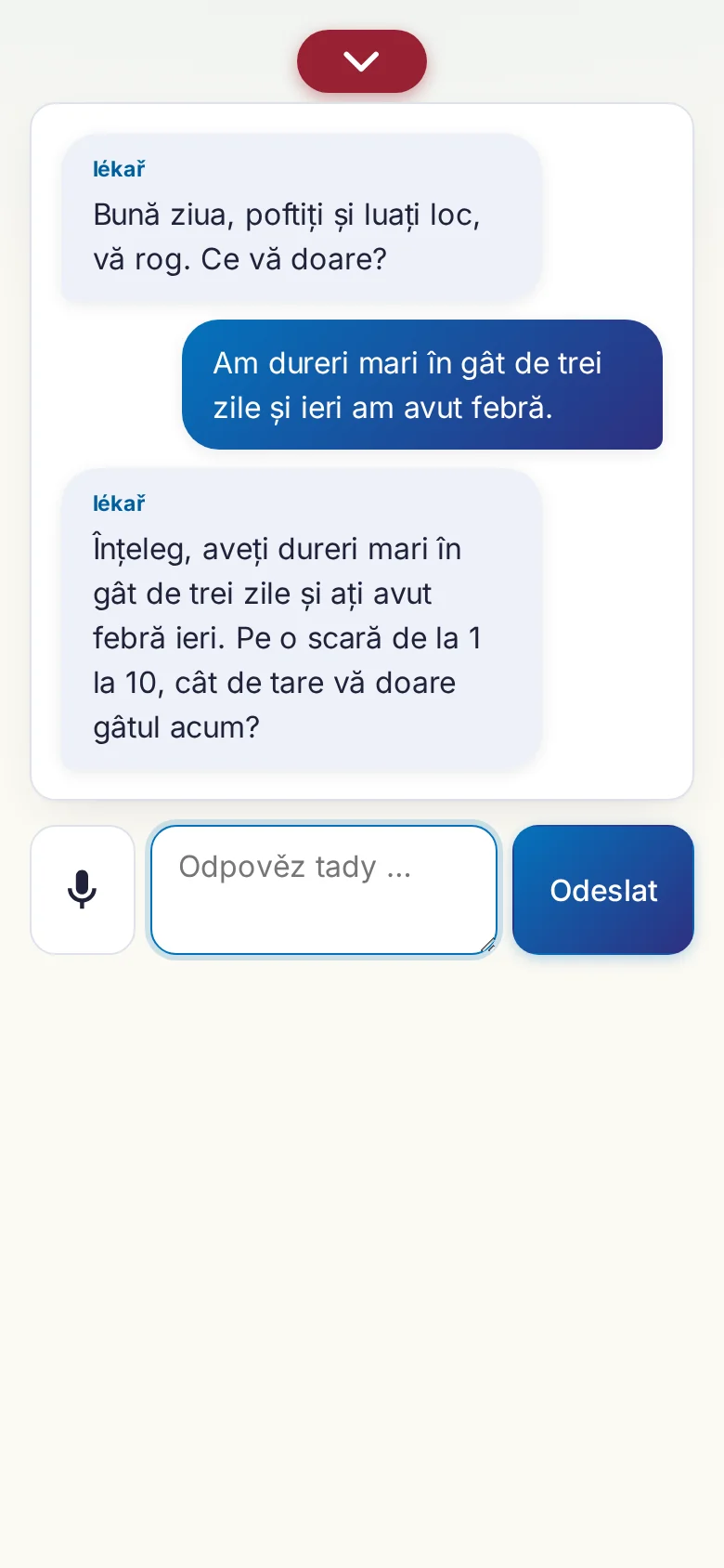 Mobil: probíhající rozhovor se zadáváním přes mikrofon.