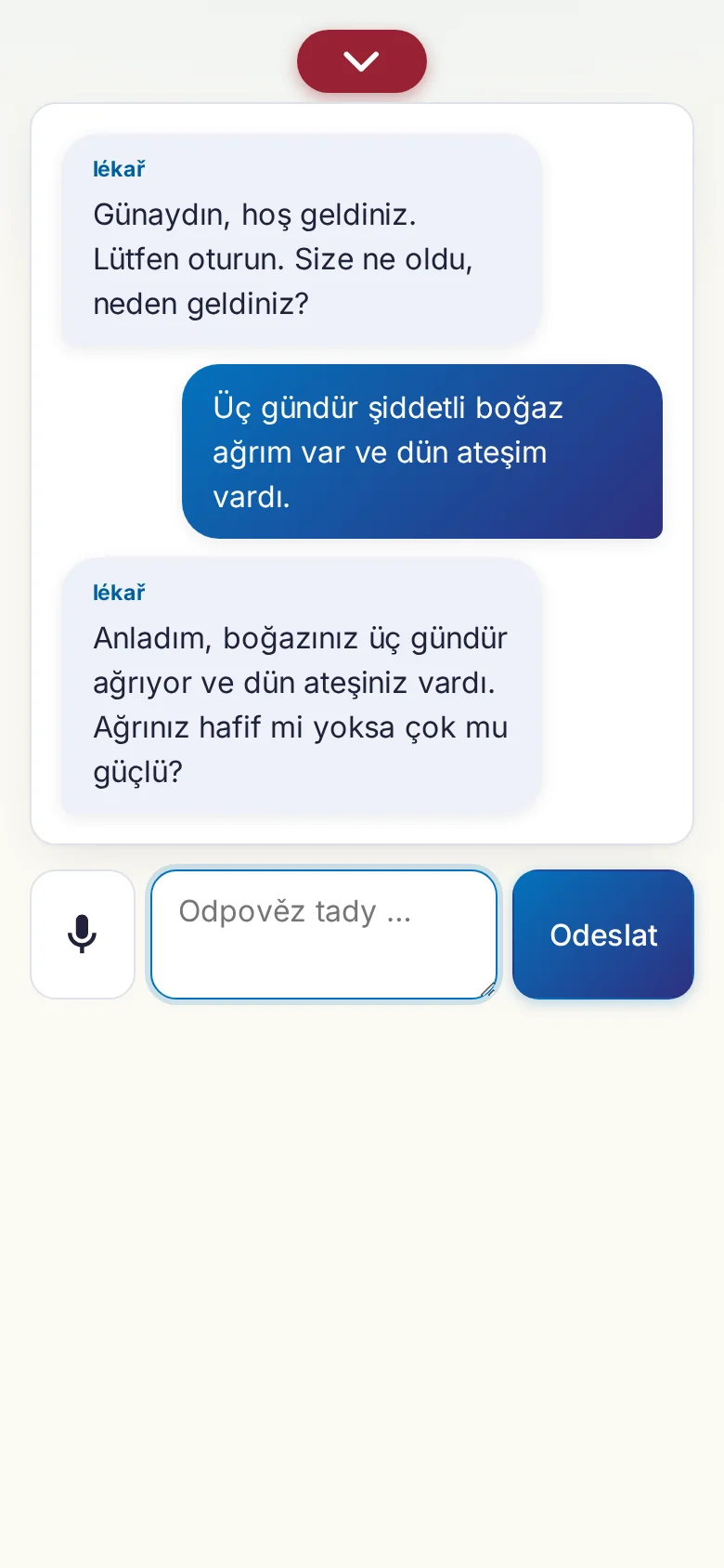 Mobil: probíhající rozhovor se zadáváním přes mikrofon.