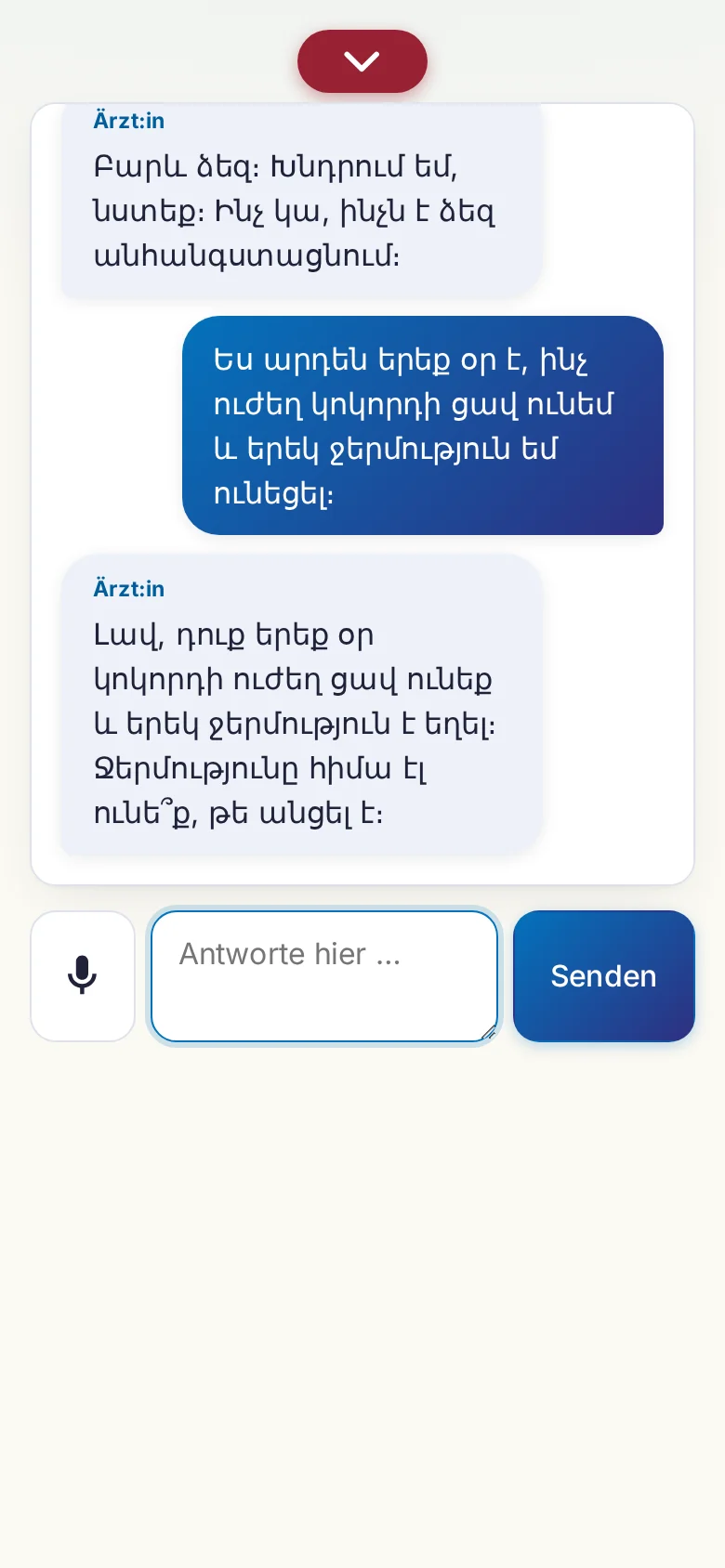 Handy: ein laufendes Gespr&auml;ch mit Mikrofon-Eingabe.