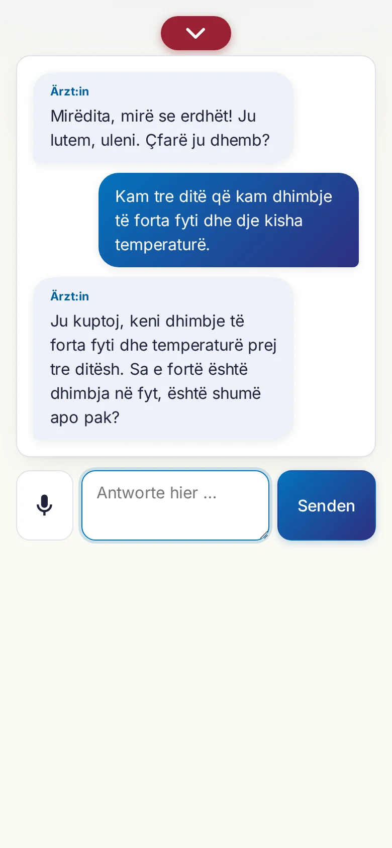 Handy: ein laufendes Gespräch mit Mikrofon-Eingabe.