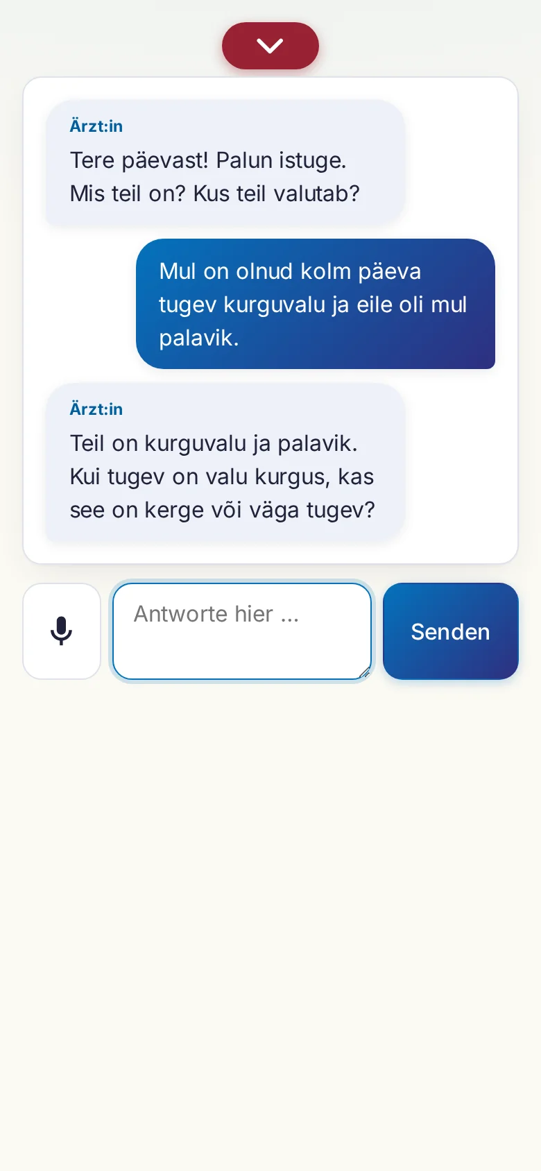Handy: ein laufendes Gespräch mit Mikrofon-Eingabe.
