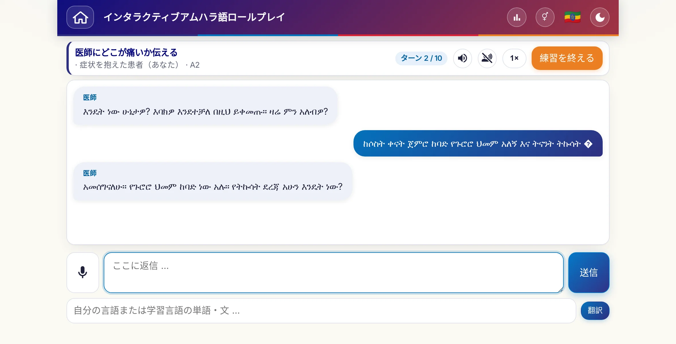 会話中のロールプレイ：医師が痛みの強さ、熱、その日の経過をたずね、学習者は自由に答え、最後に処方箋をお願いします。