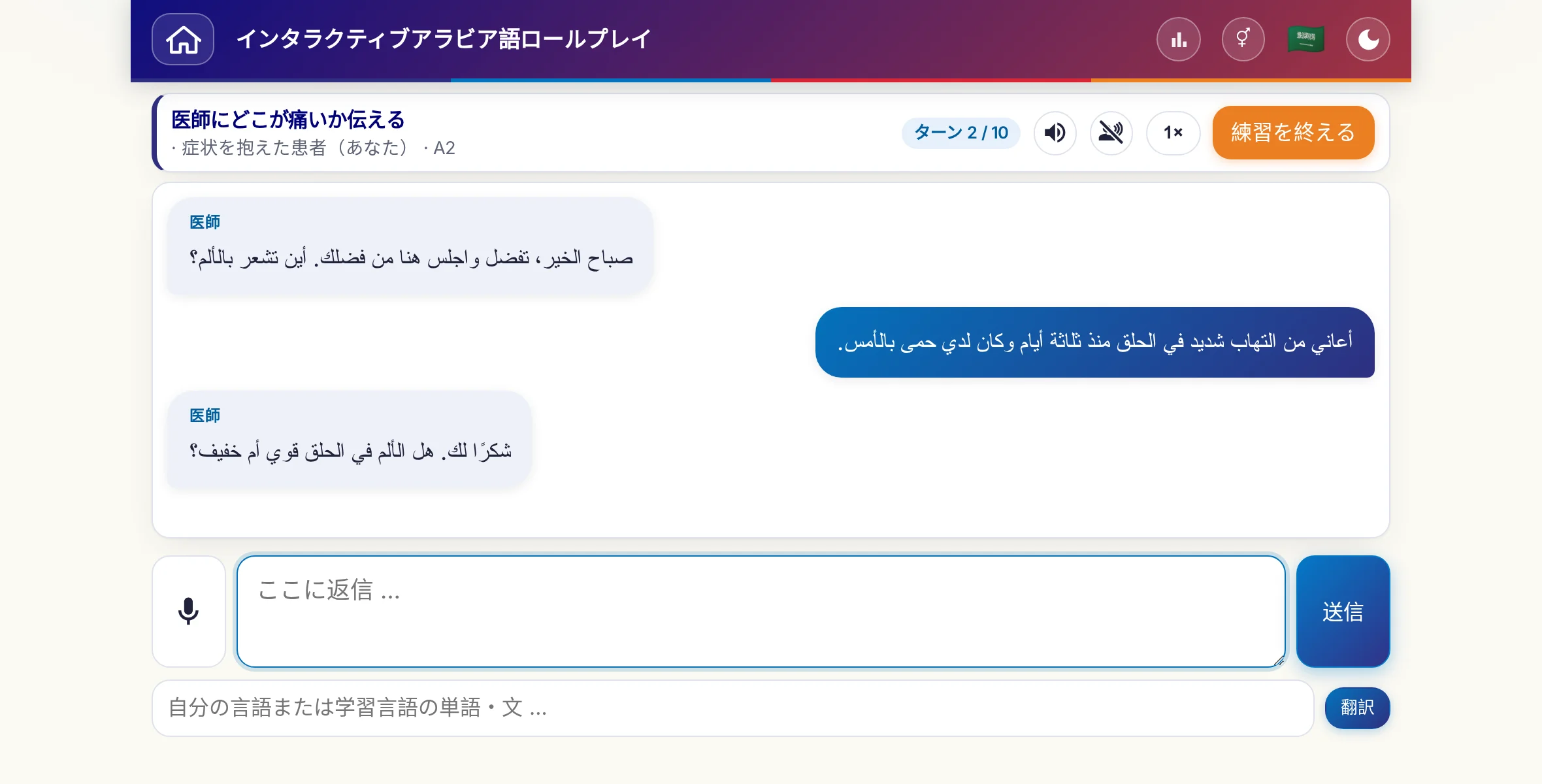 会話中のロールプレイ：医師が痛みの強さ、熱、その日の経過をたずね、学習者は自由に答え、最後に処方箋をお願いします。