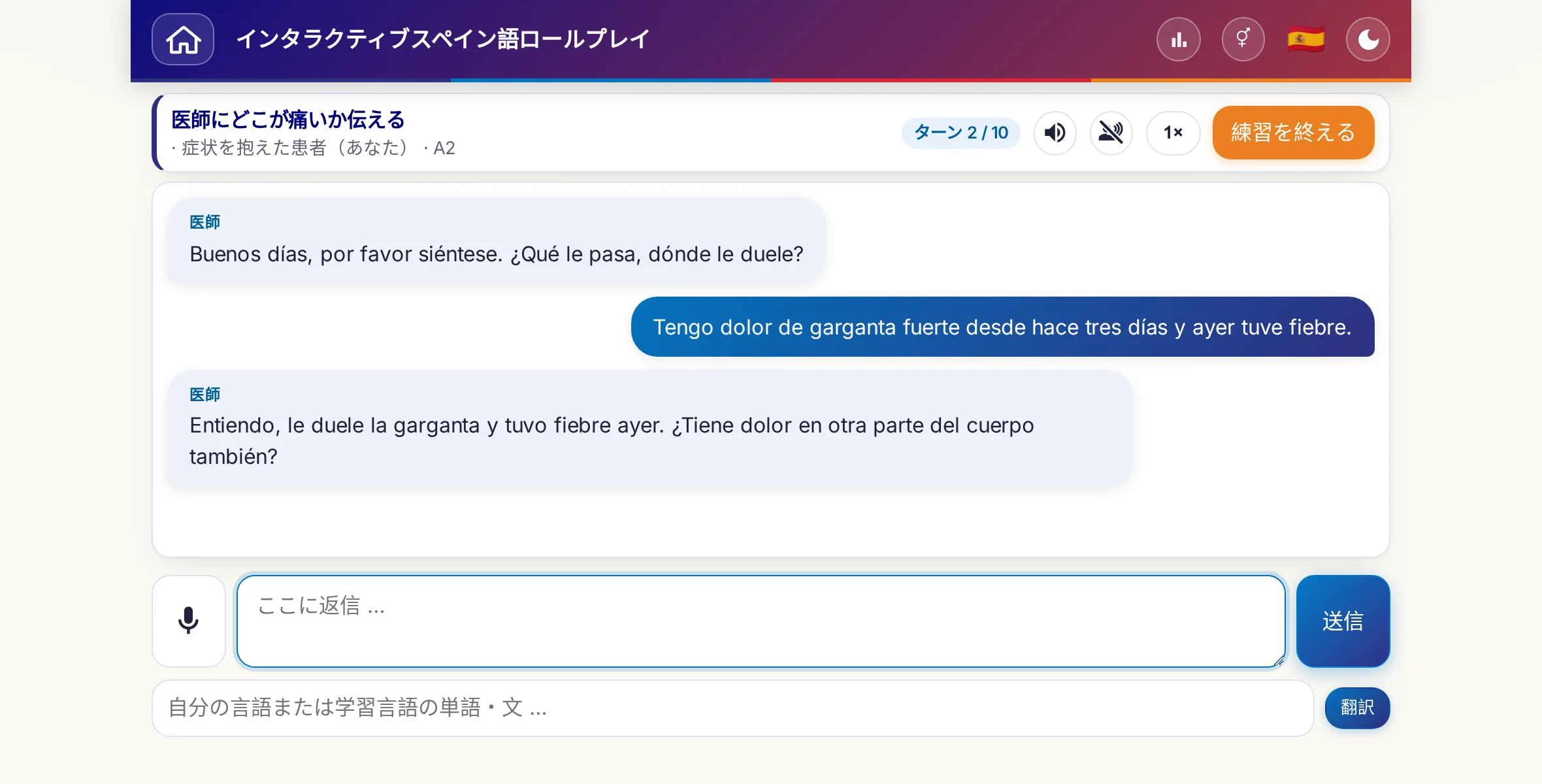 会話中のロールプレイ：医師が痛みの強さ、熱、その日の経過をたずね、学習者は自由に答え、最後に処方箋をお願いします。
