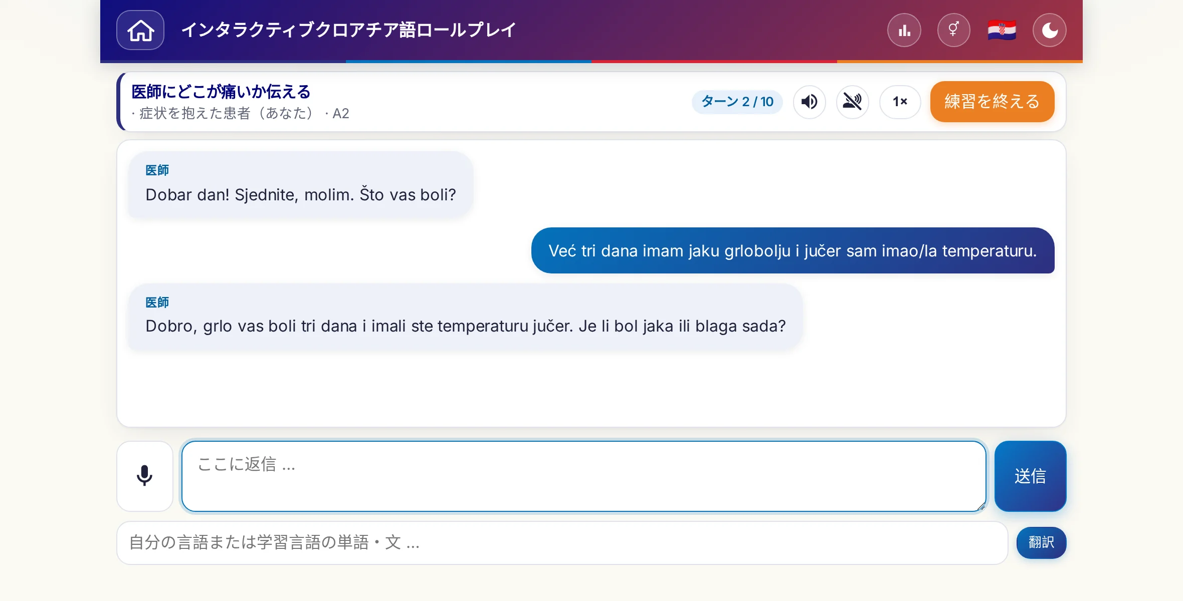 会話中のロールプレイ：医師が痛みの強さ、熱、その日の経過をたずね、学習者は自由に答え、最後に処方箋をお願いします。