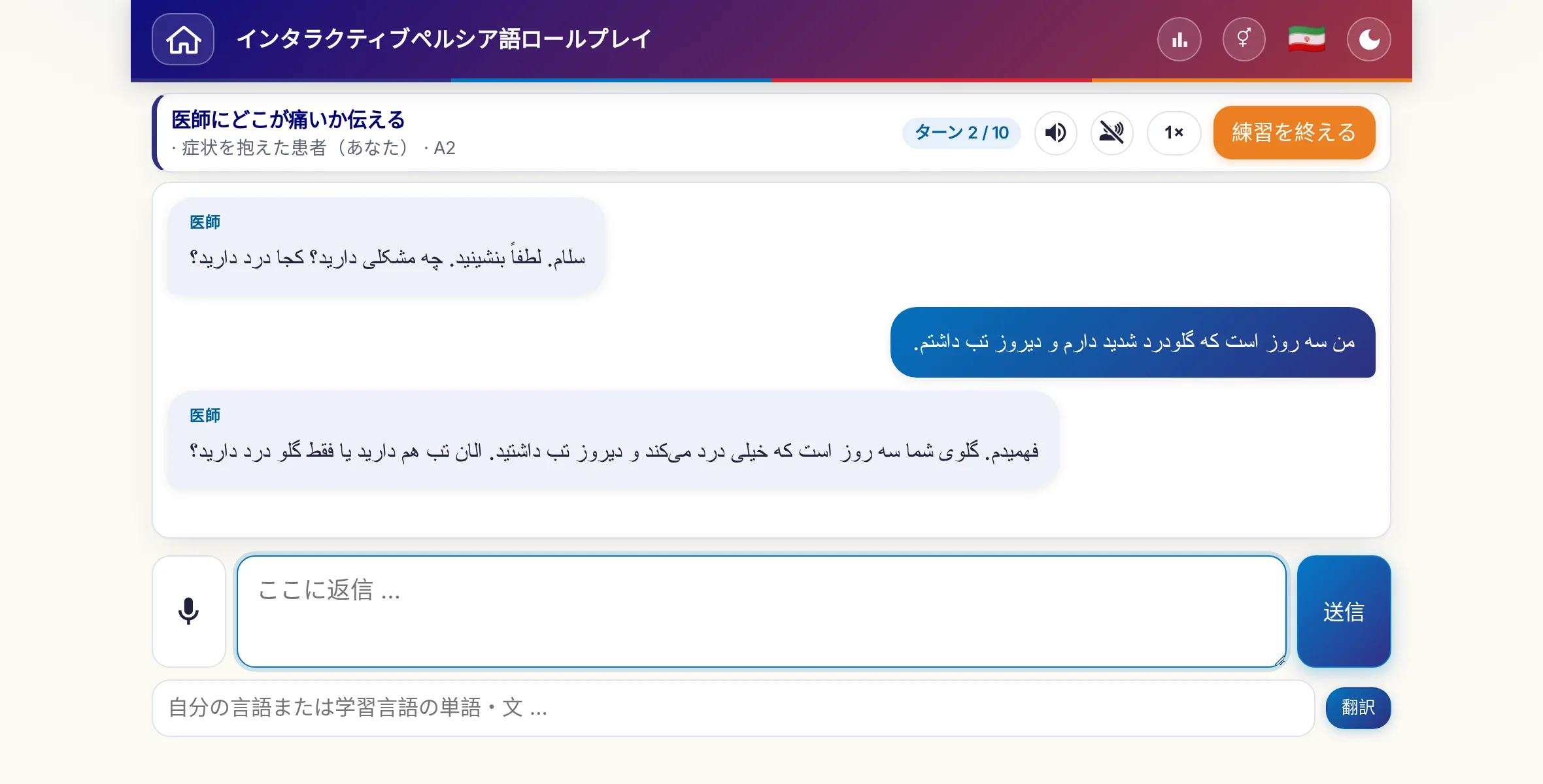 会話中のロールプレイ：医師が痛みの強さ、熱、その日の経過をたずね、学習者は自由に答え、最後に処方箋をお願いします。