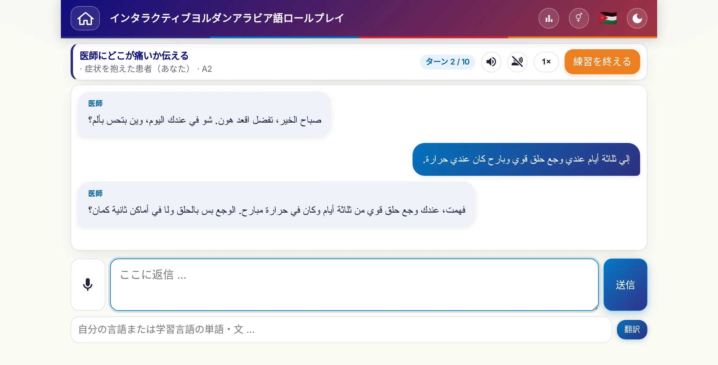 会話中のロールプレイ：医師が痛みの強さ、熱、その日の経過をたずね、学習者は自由に答え、最後に処方箋をお願いします。