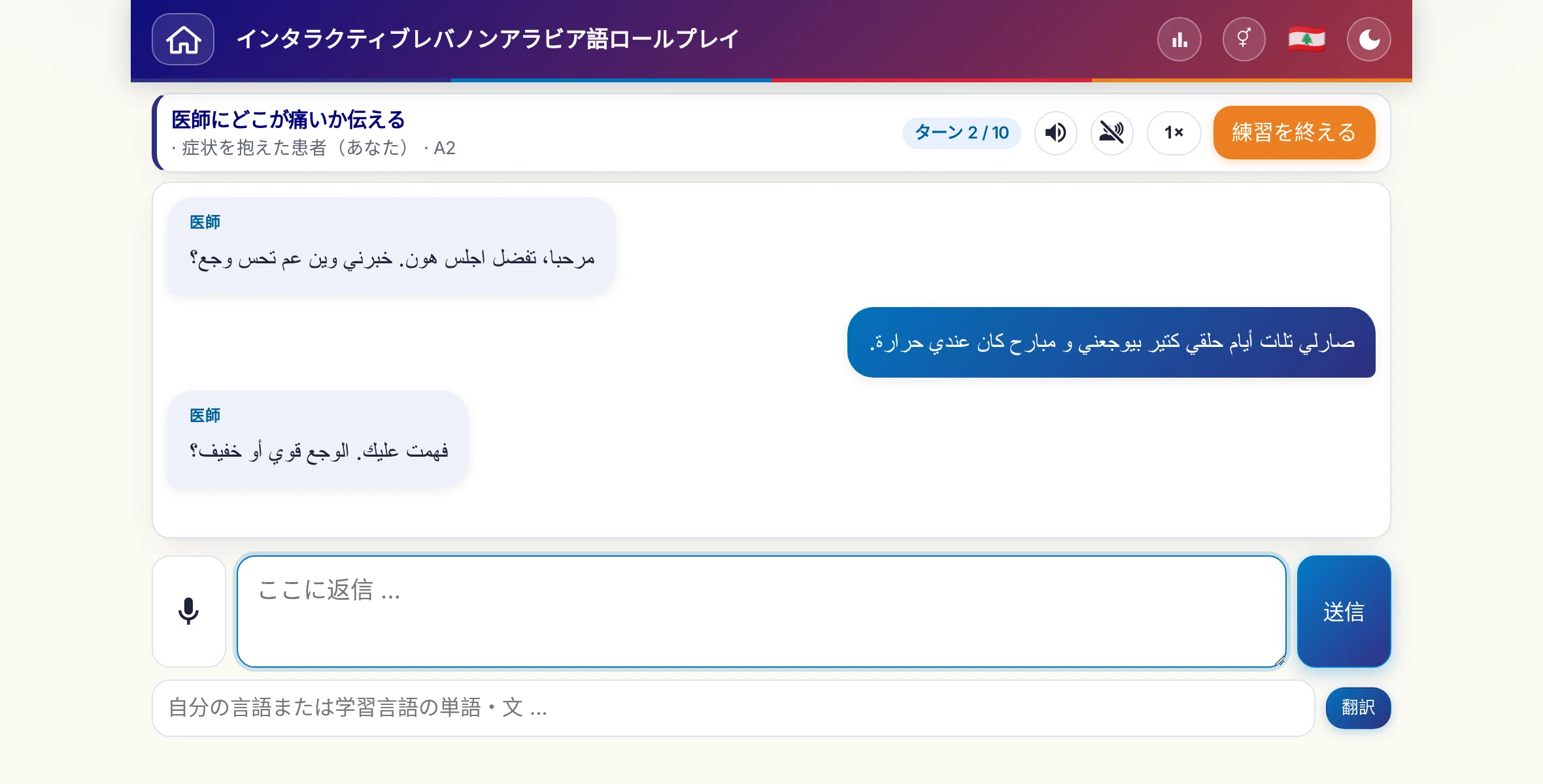 会話中のロールプレイ：医師が痛みの強さ、熱、その日の経過をたずね、学習者は自由に答え、最後に処方箋をお願いします。
