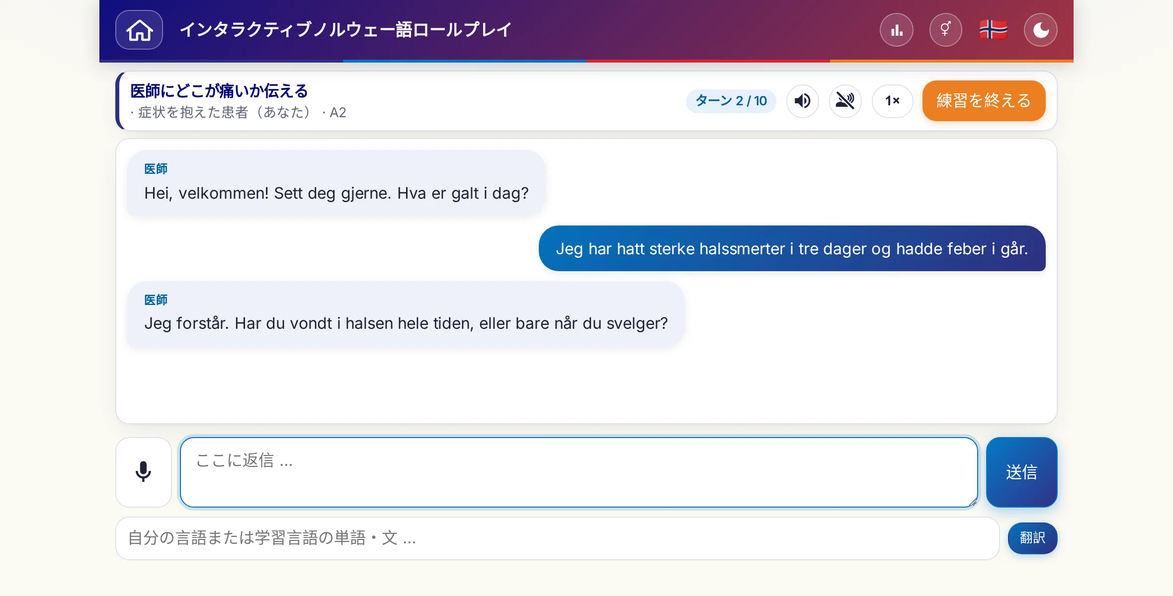 会話中のロールプレイ：医師が痛みの強さ、熱、その日の経過をたずね、学習者は自由に答え、最後に処方箋をお願いします。