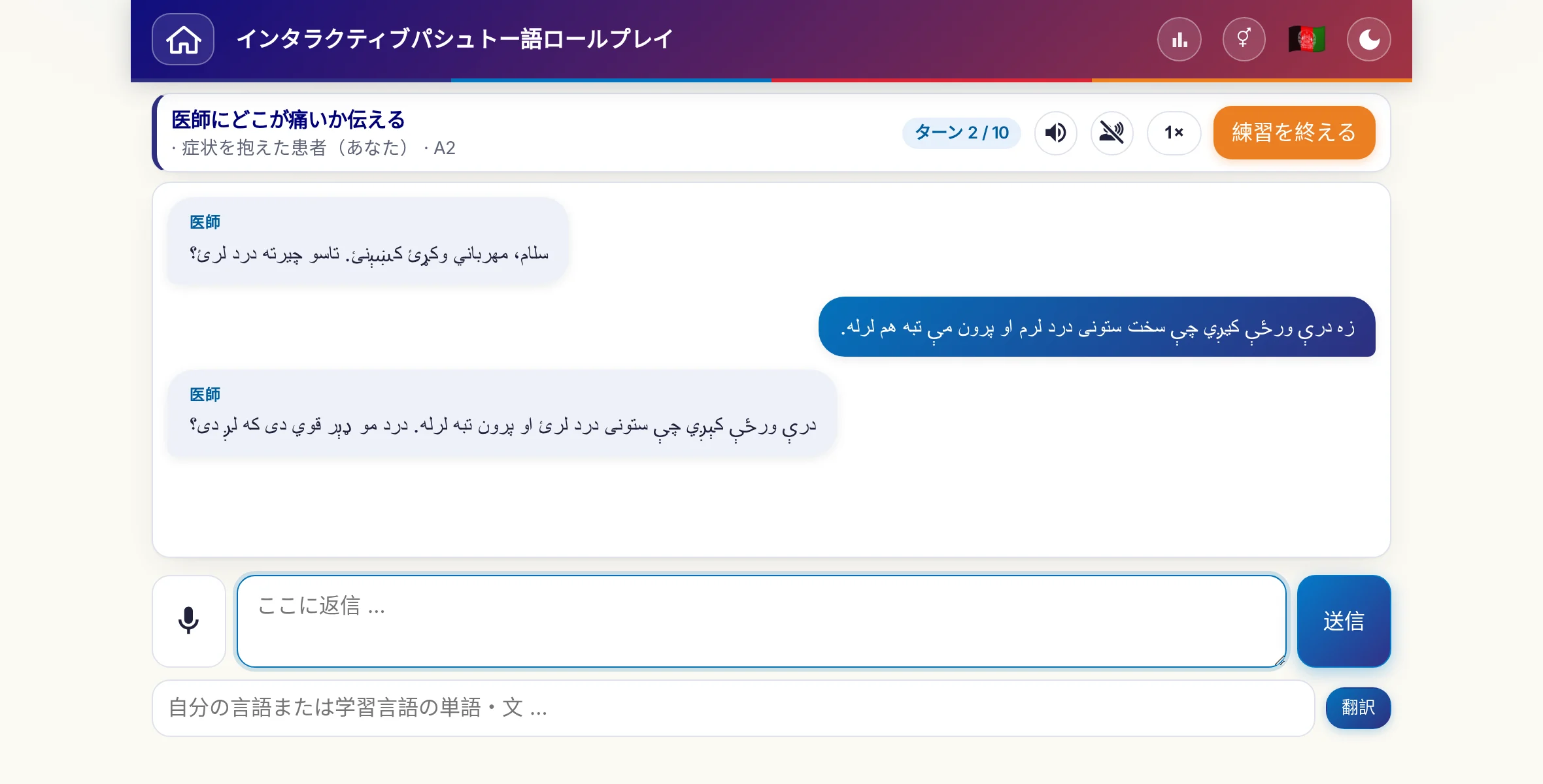 会話中のロールプレイ：医師が痛みの強さ、熱、その日の経過をたずね、学習者は自由に答え、最後に処方箋をお願いします。