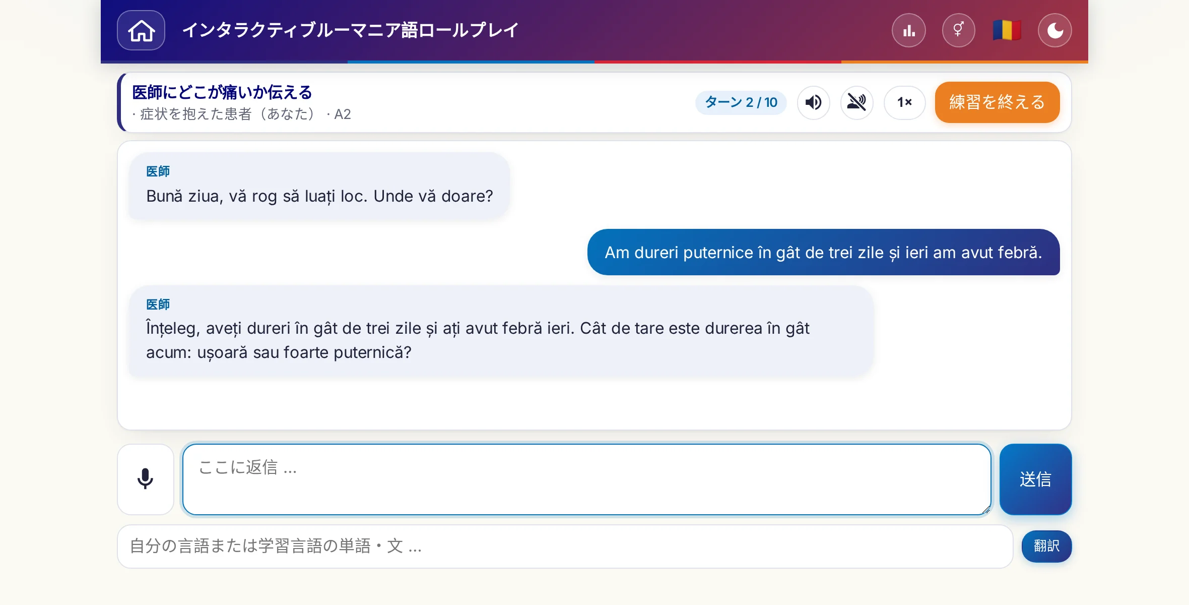 会話中のロールプレイ：医師が痛みの強さ、熱、その日の経過をたずね、学習者は自由に答え、最後に処方箋をお願いします。
