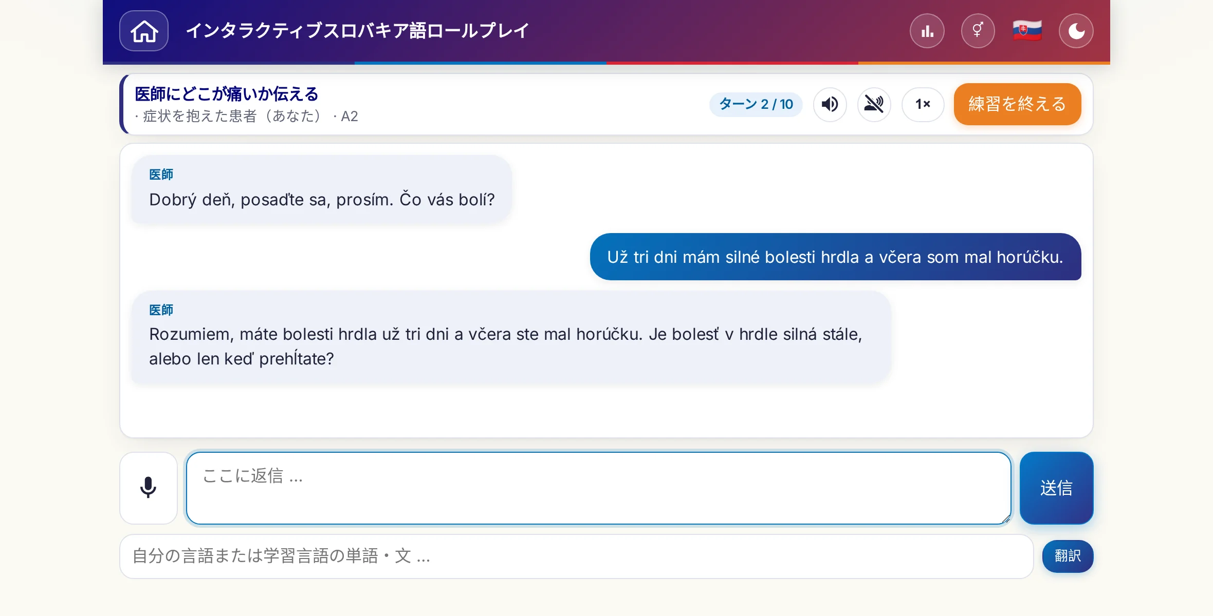 会話中のロールプレイ：医師が痛みの強さ、熱、その日の経過をたずね、学習者は自由に答え、最後に処方箋をお願いします。