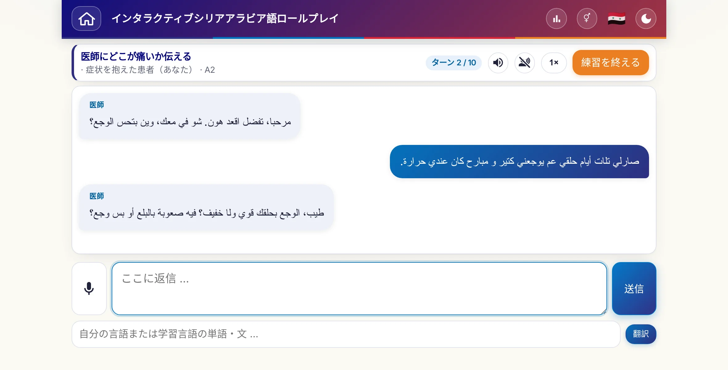 会話中のロールプレイ：医師が痛みの強さ、熱、その日の経過をたずね、学習者は自由に答え、最後に処方箋をお願いします。