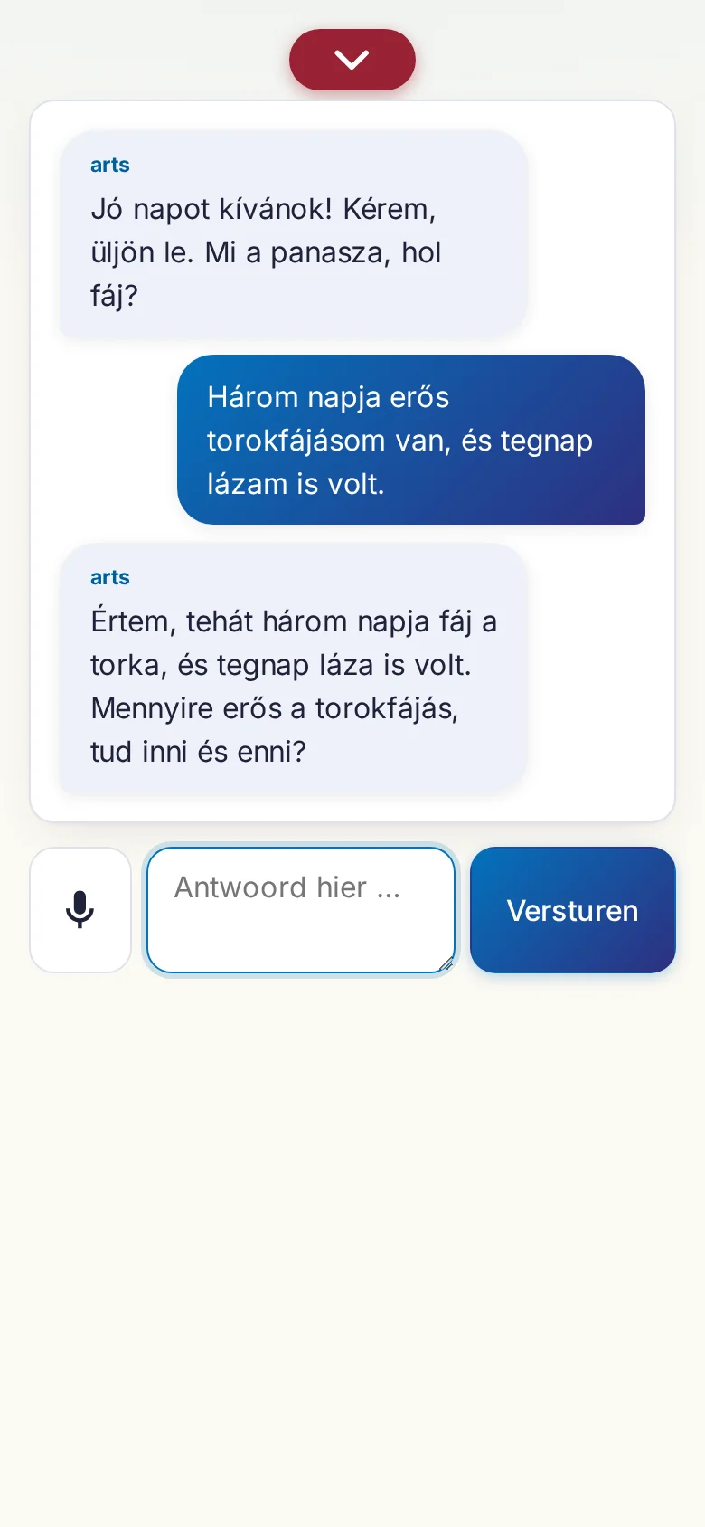 Telefoon: een lopend gesprek met invoer via de microfoon.