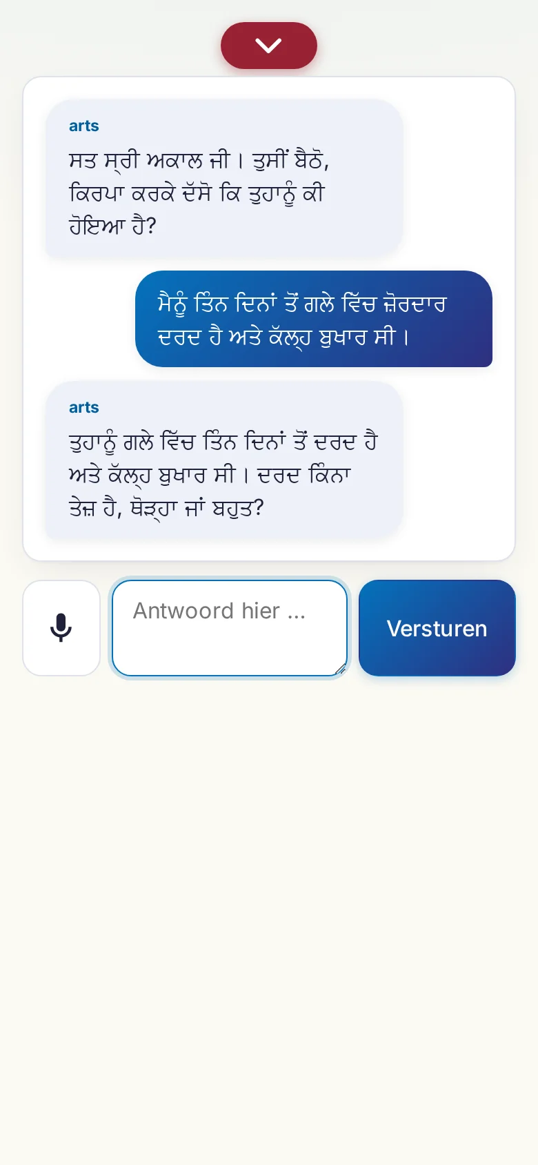 Telefoon: een lopend gesprek met invoer via de microfoon.
