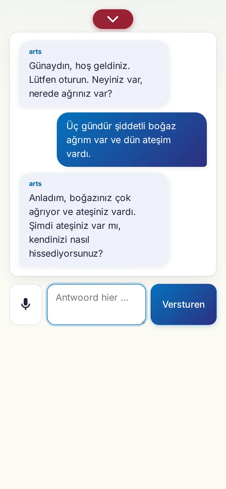 Telefoon: een lopend gesprek met invoer via de microfoon.