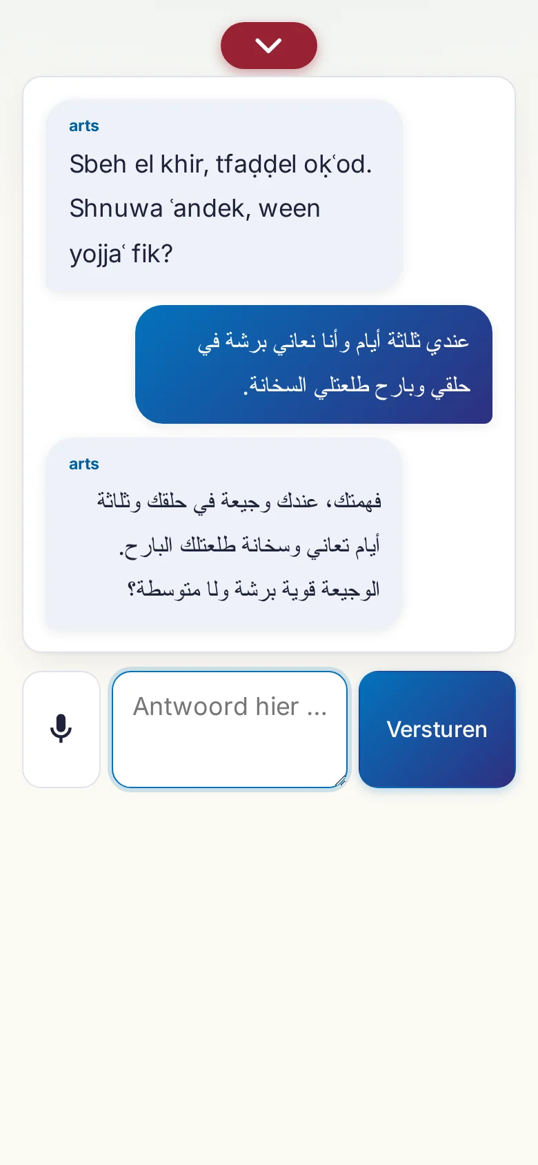 Telefoon: een lopend gesprek met invoer via de microfoon.