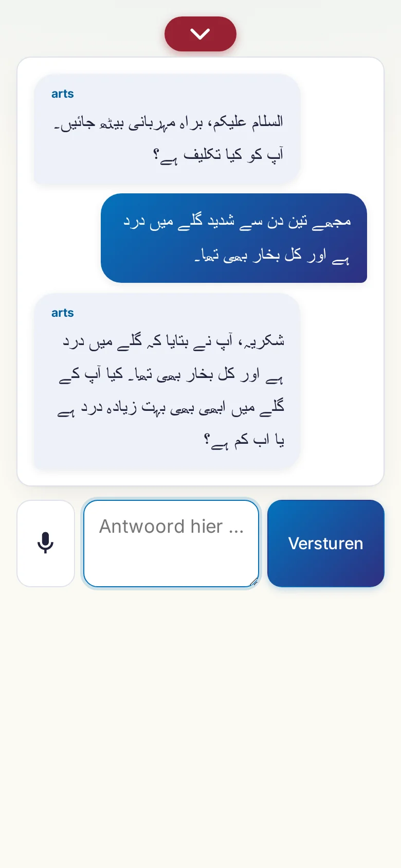 Telefoon: een lopend gesprek met invoer via de microfoon.